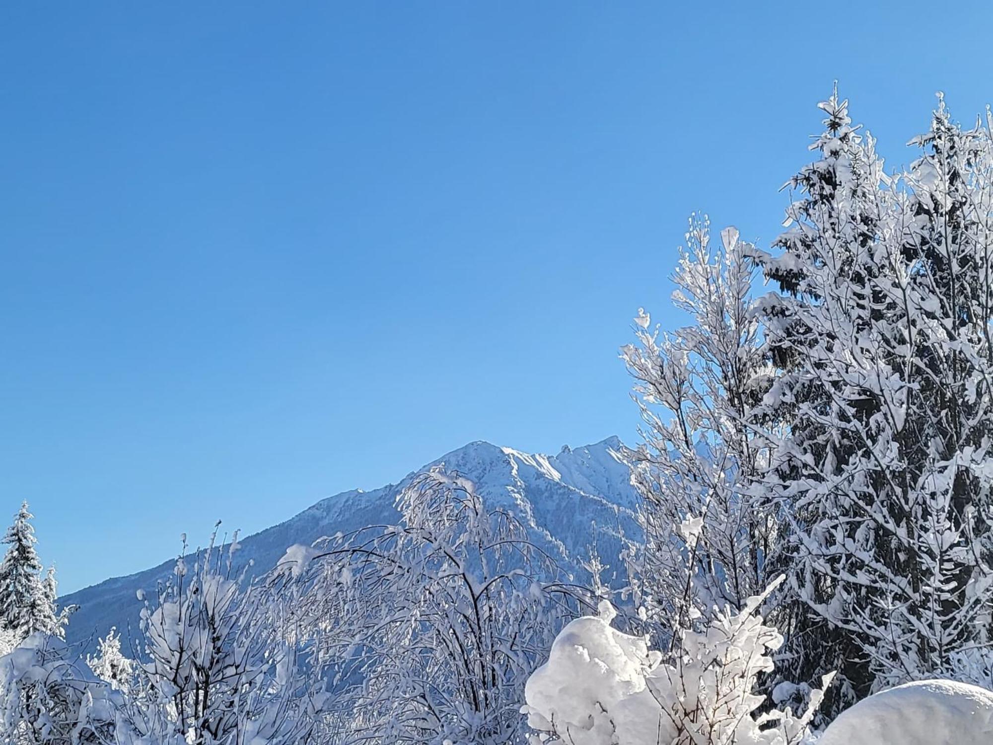 Apartment In Neukirchen With A Balcony นอยเคียร์เชน อัม โกรสเวเนดิเกอร์ ภายนอก รูปภาพ